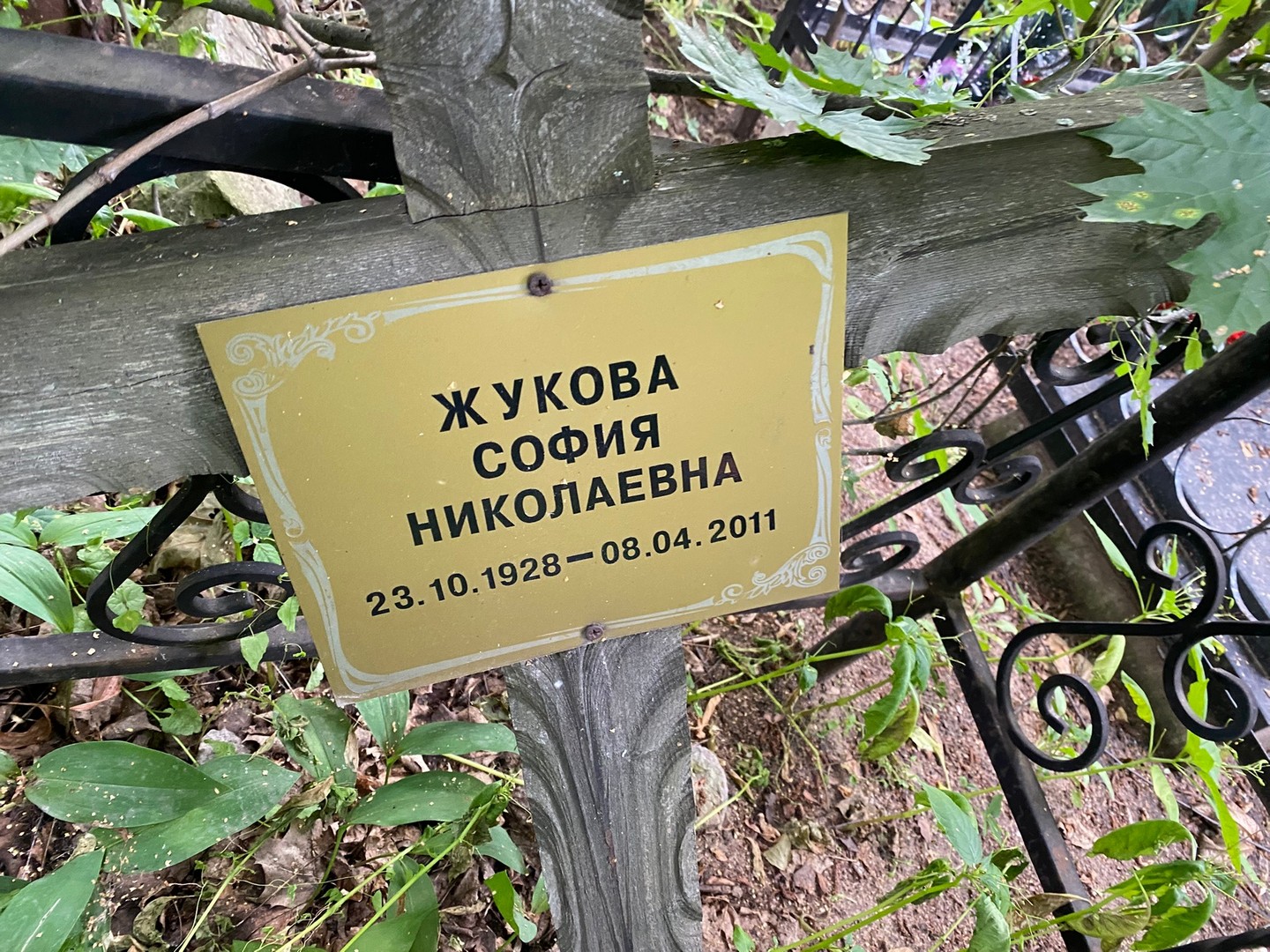 София Жукова Николаевна