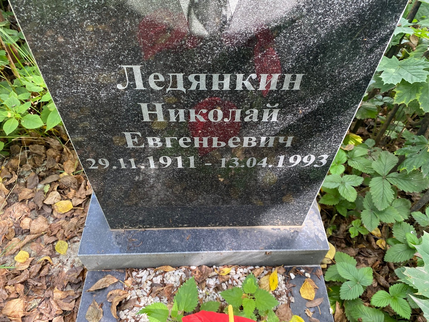 Ледянкин
