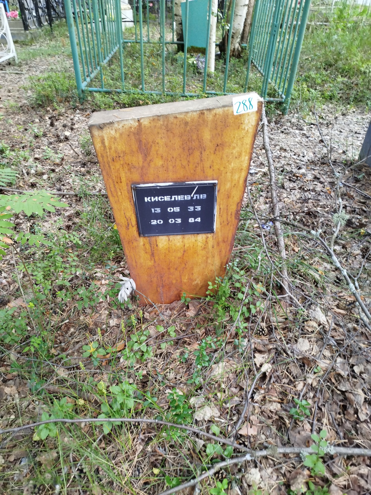 Киселев Л В