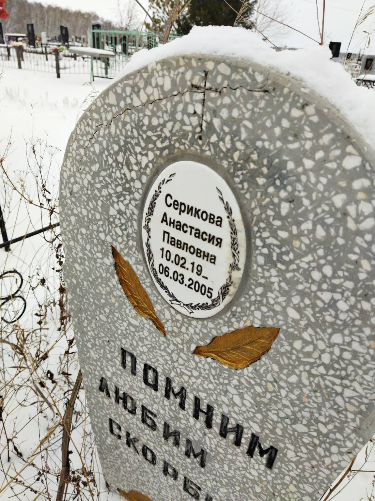 Серикова Анастасия Павловна