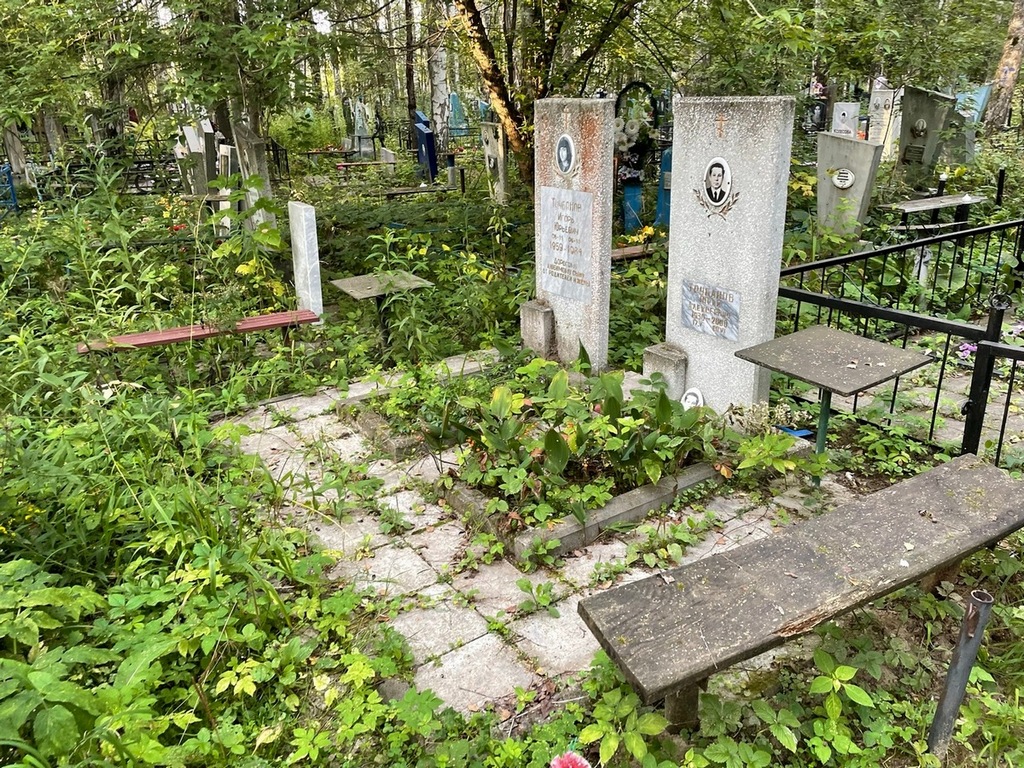 Трубанов Юрий Алексеевич