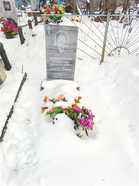 Шипицина Клавдия Николаевна