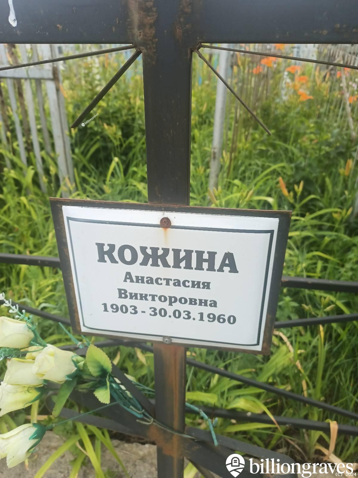 Кожина Анастасия Викторовна