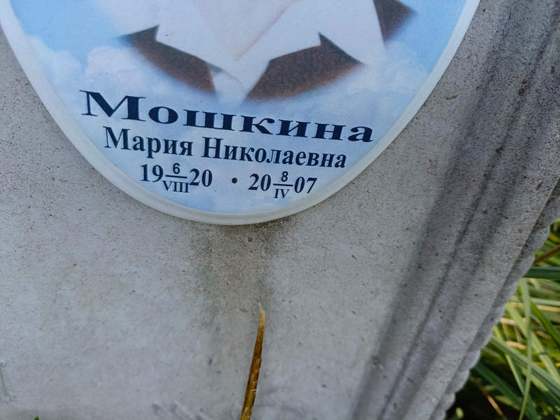 Мошкина