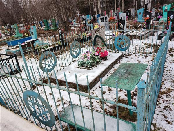 Шлеев Владимир Александрович