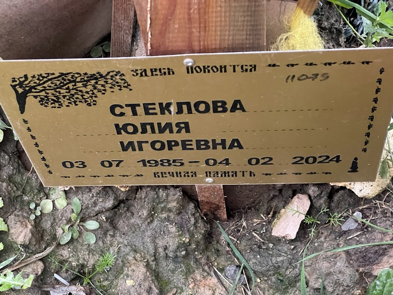 Стеклова