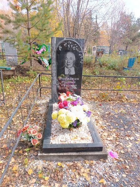 Видякин Николай Павлович