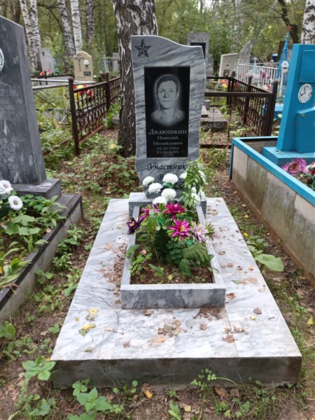 Дядюшкин Николай Михайлович