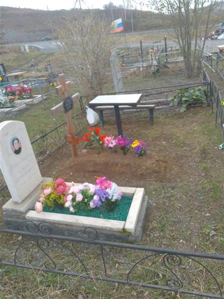 Воронин Дмитрий Гаврилович