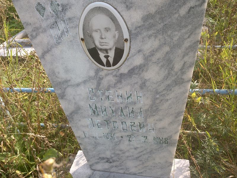 Стенин