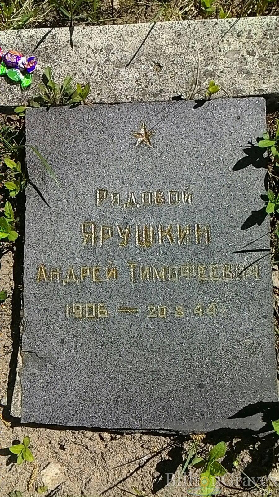 Ягушкин Андрей Тимофеевич