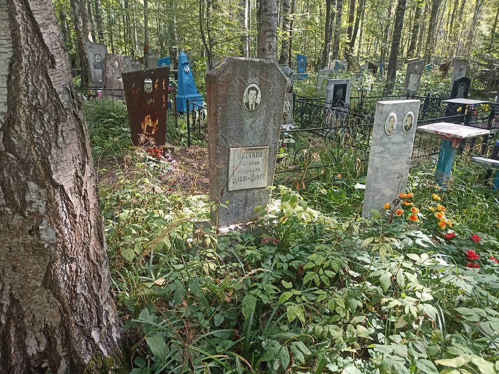 Цветков Василий Петрович