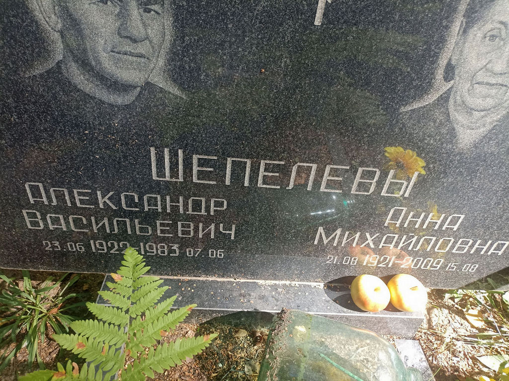 Шепелева Анна Михайловна