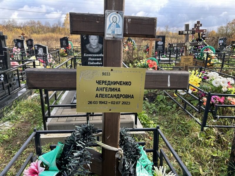 Ангелина Чередниченко Александровна