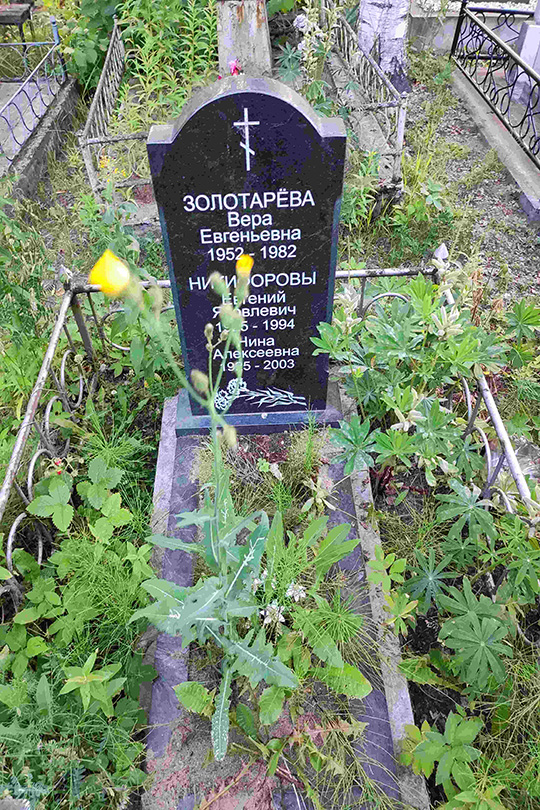 Никифоров Евгений Яковлевич