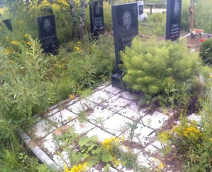 Меркулолв Александр Васильевич