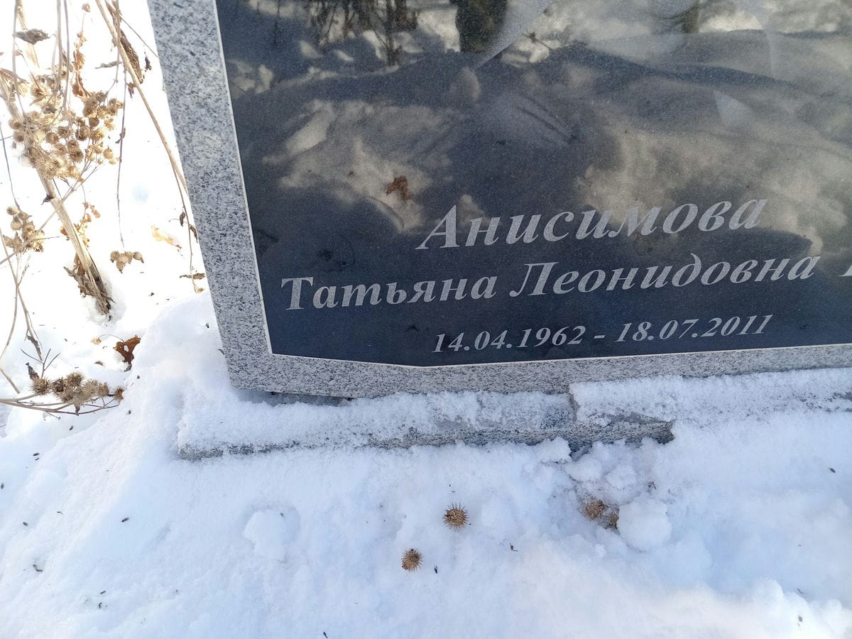 Анисимова Татьяна Леонидовна