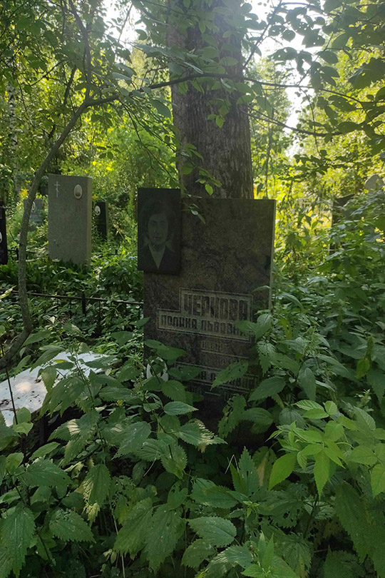 Чернова Полина Львовна