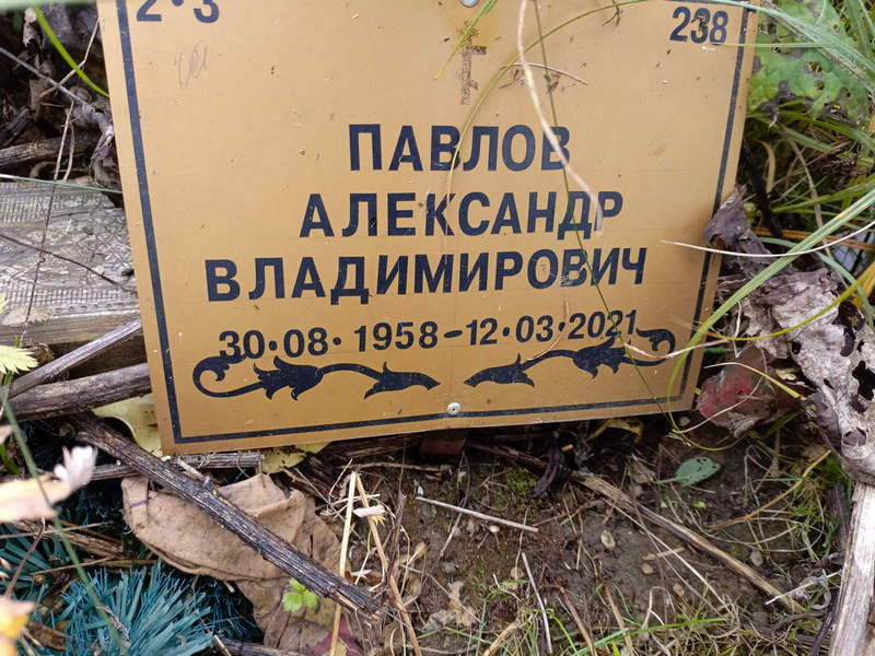 Павлов