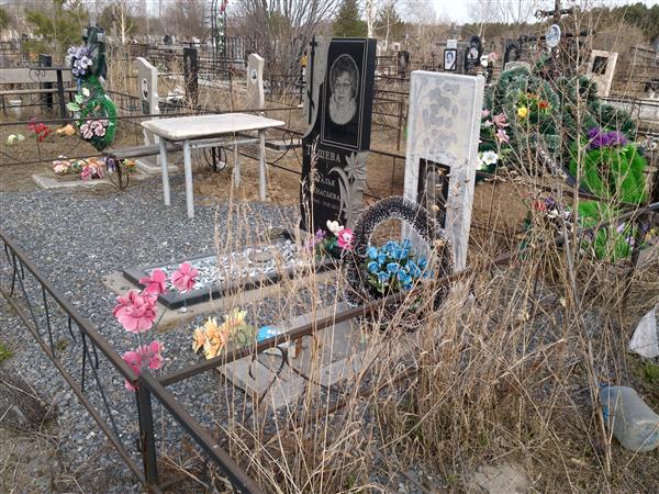 Ташев Дмитрий Дмитриевич