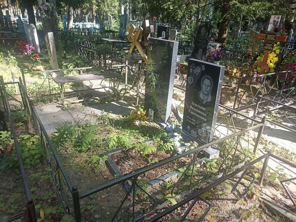 Земсков Николай Алексеевич