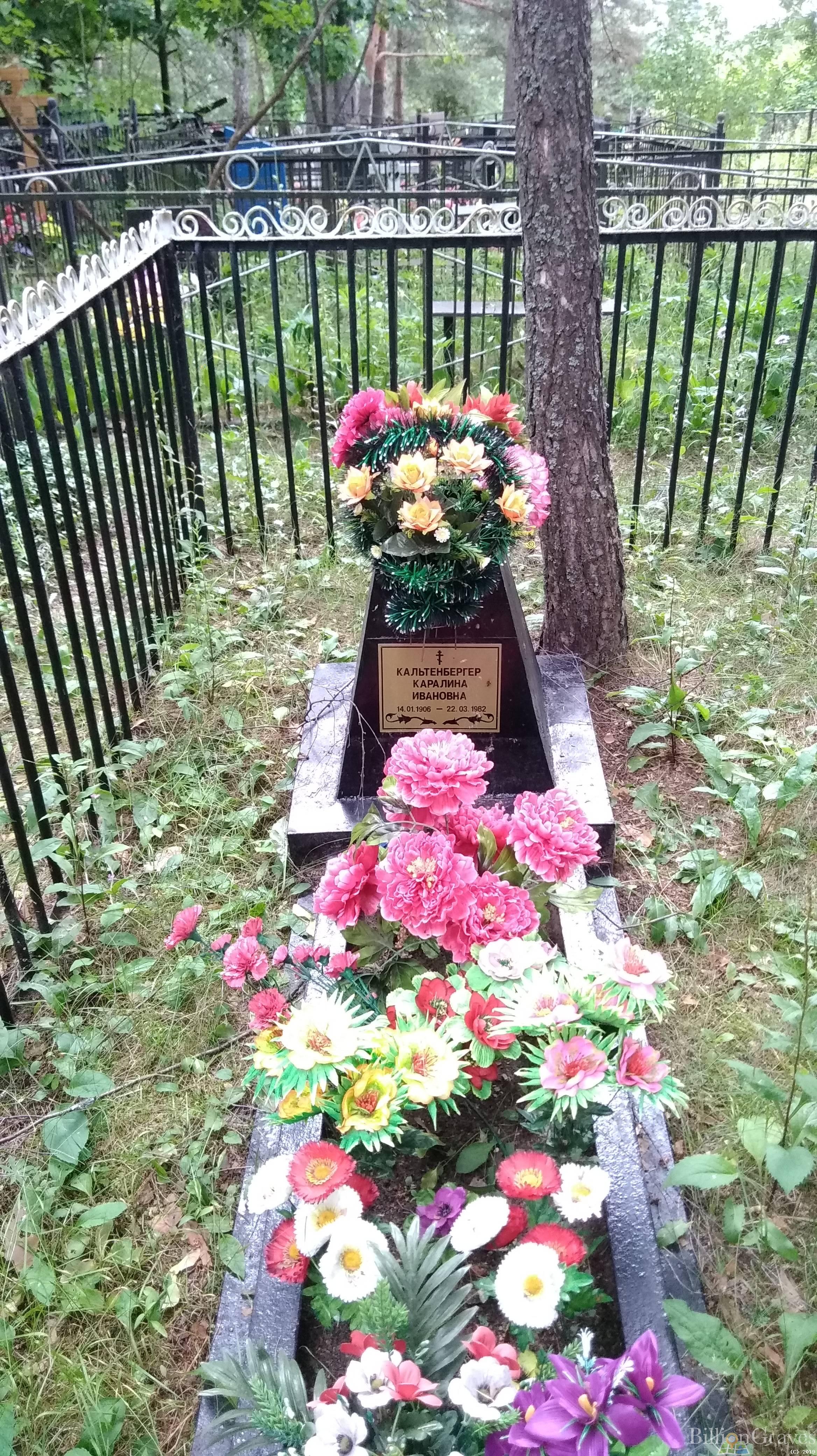 Кальтенбергер Каралина Ивановна