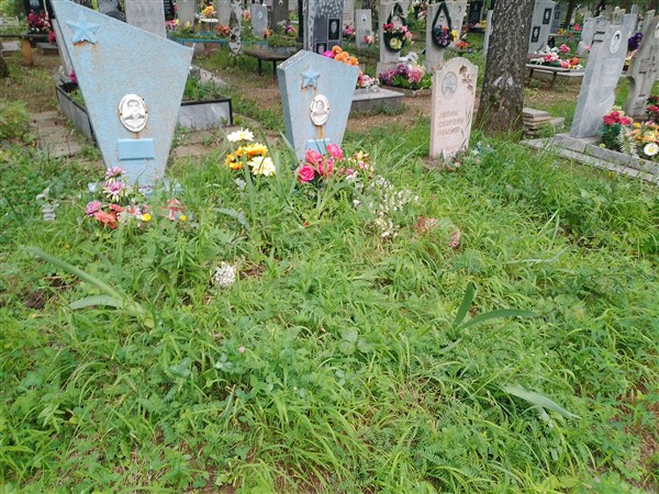 Гришина Валентина Александровна