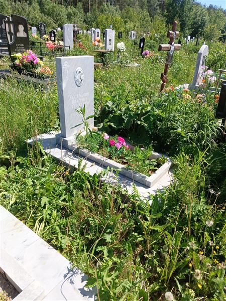 Костромин Владимир Сергеевич