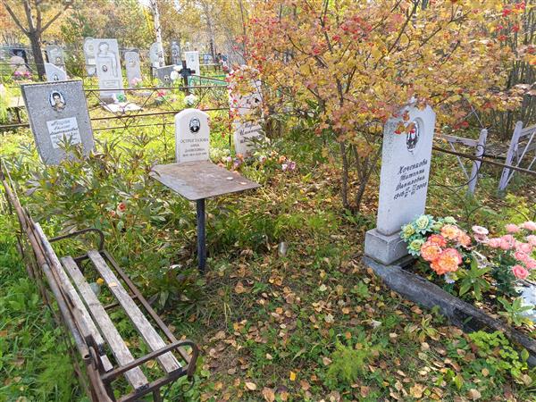 Хоченкова Татьяна Даниловна