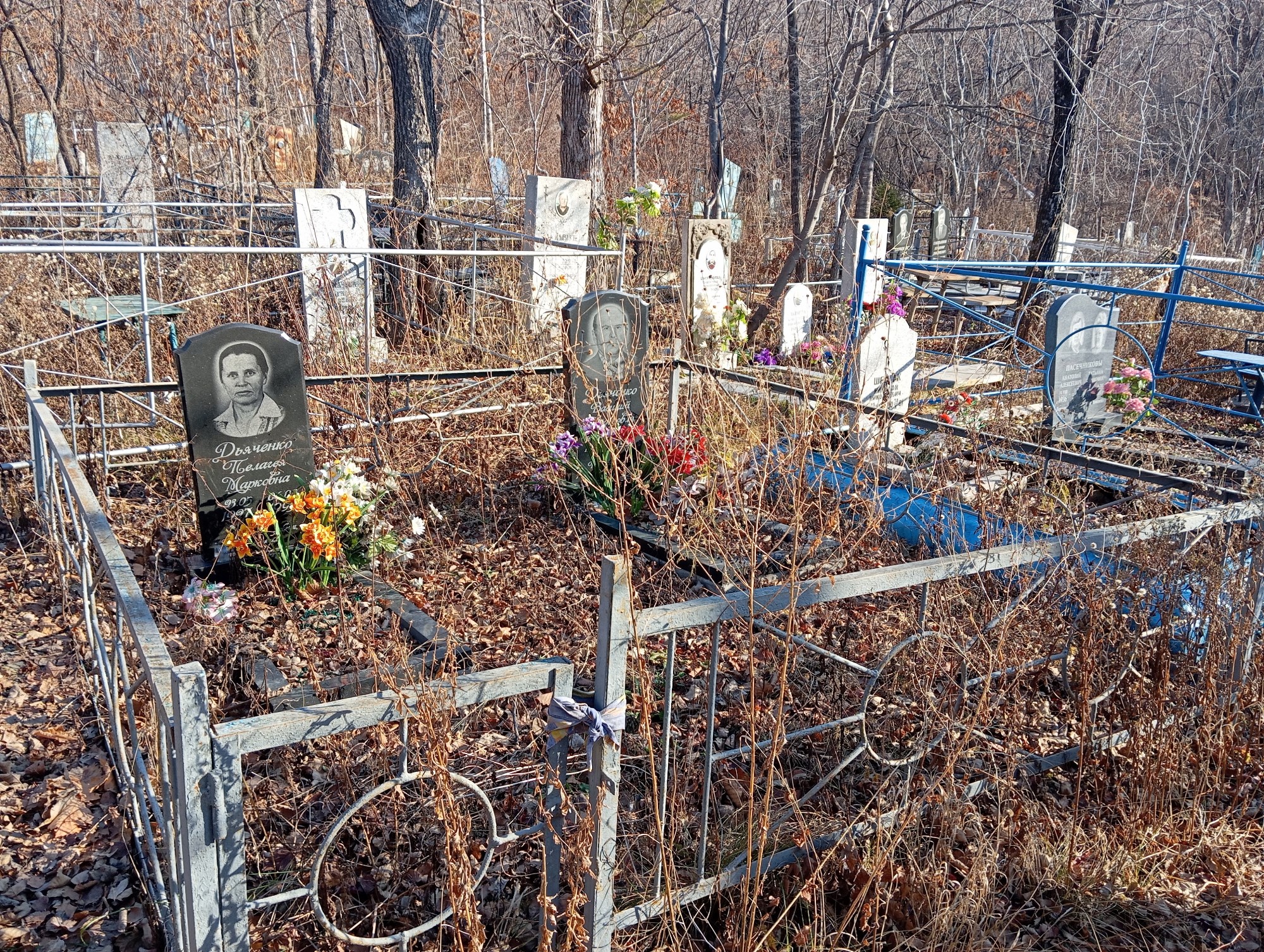 Дьяченко Пелагея Марковна