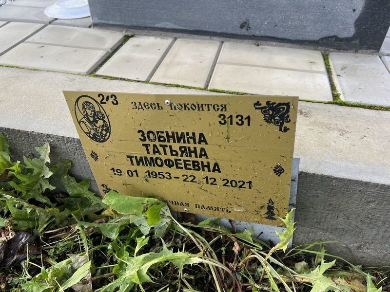 Зобнина