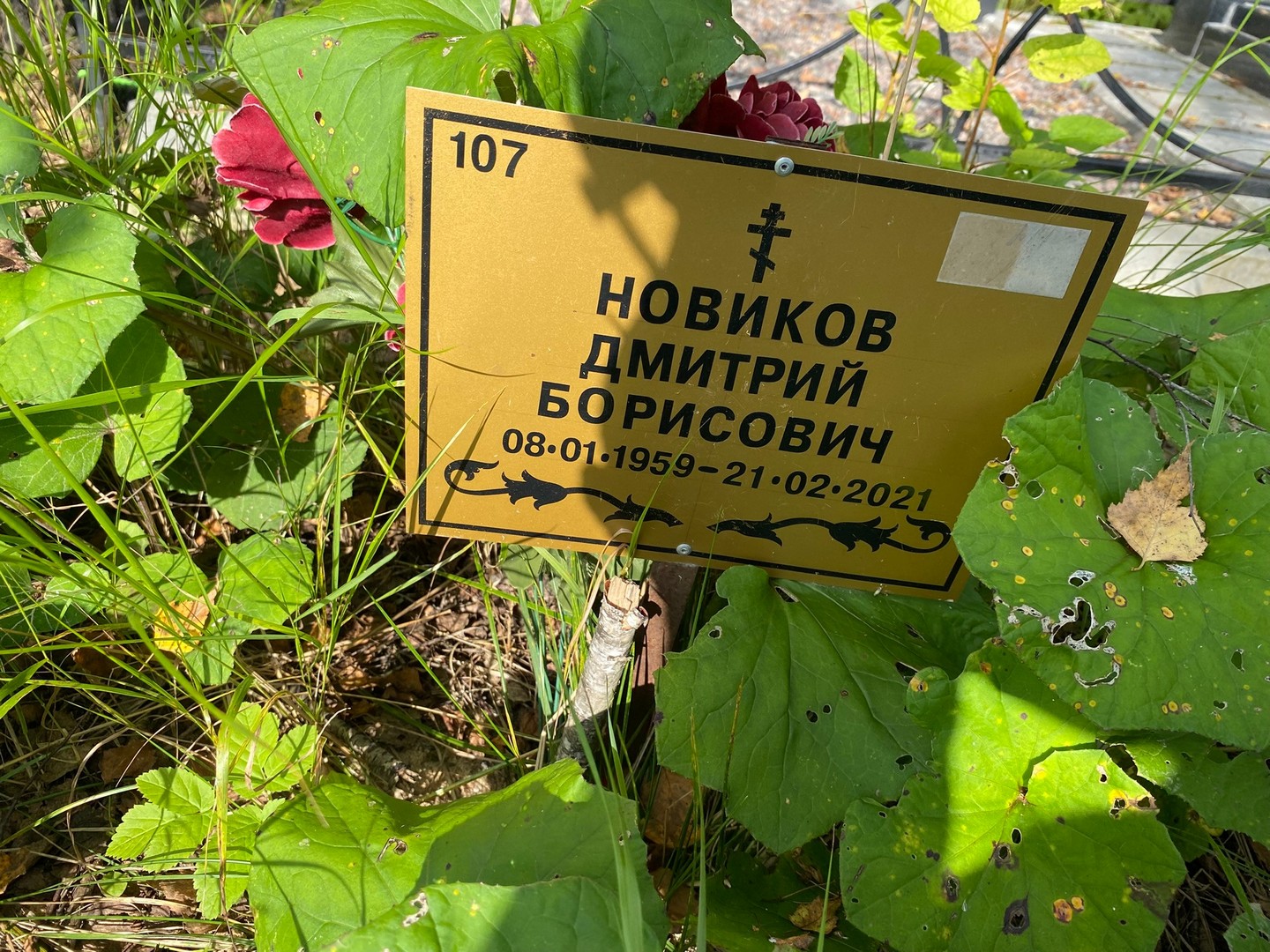 Новиков
