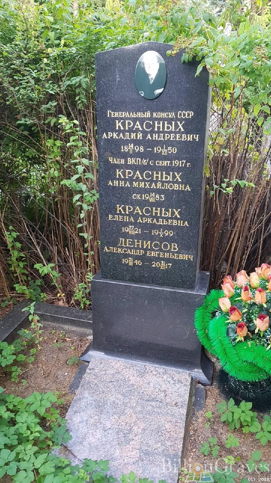 денисов александр евгеньевич
