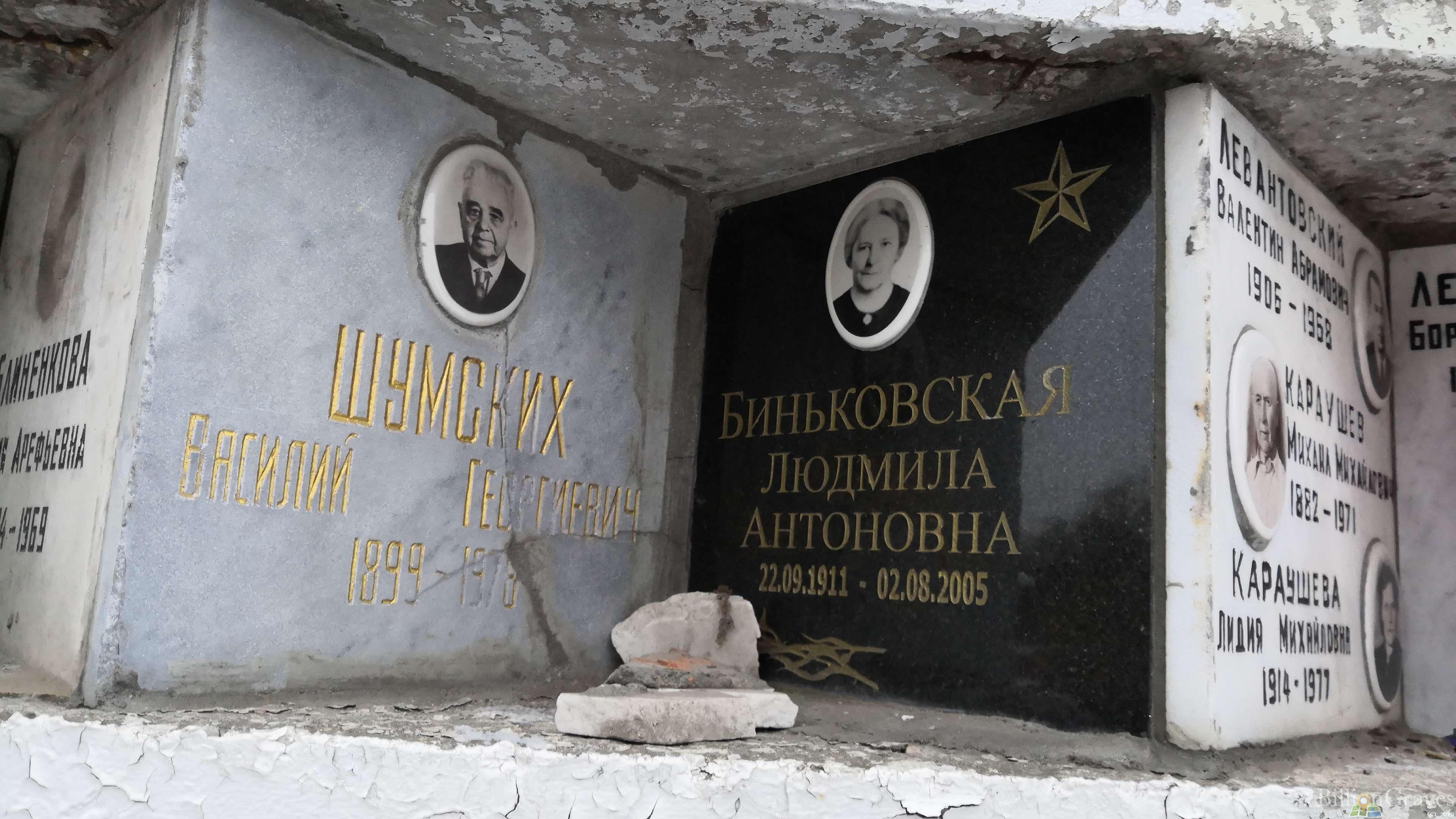 Биньковская Людмила Антоновна