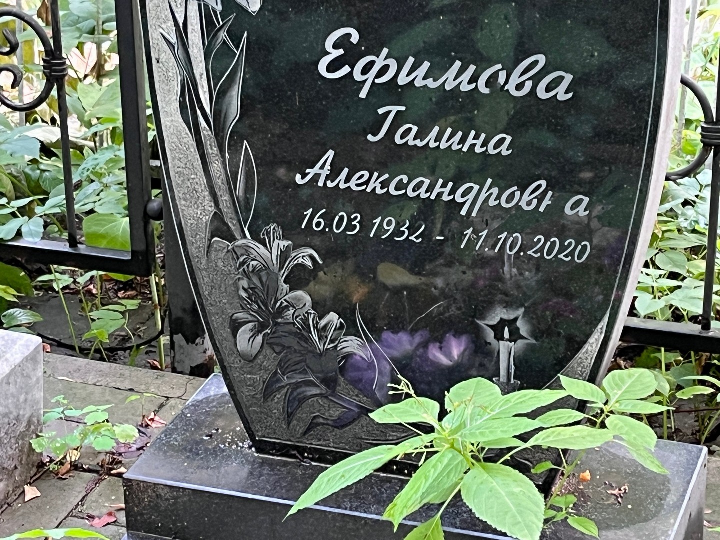 Ефимова