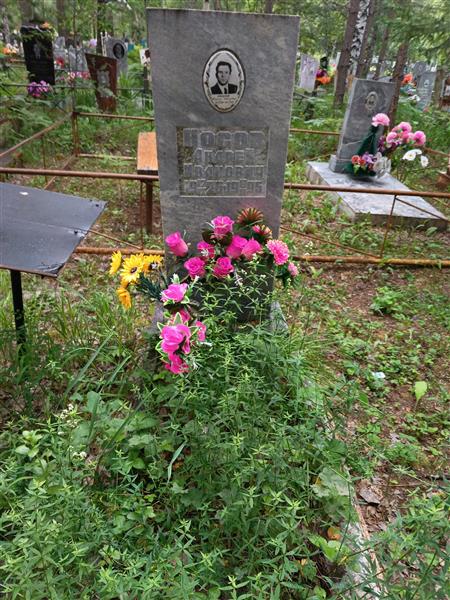 Носов Андрей Иванович
