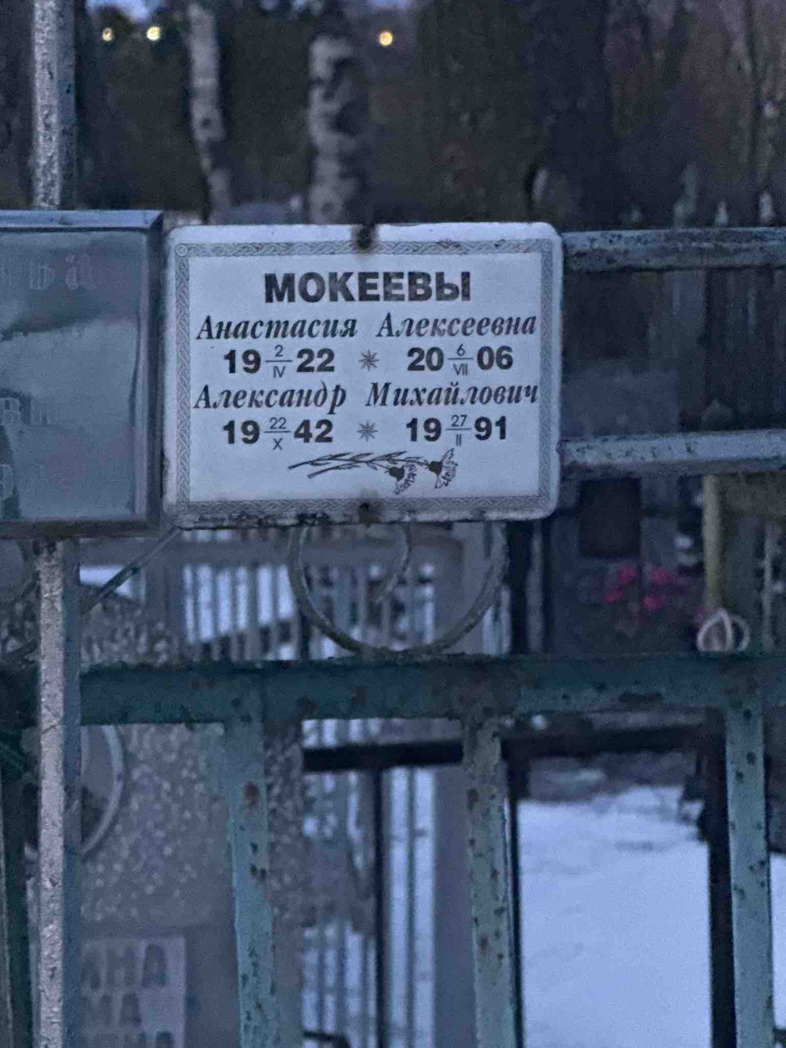 Мокеева Анастасия Алексеевна