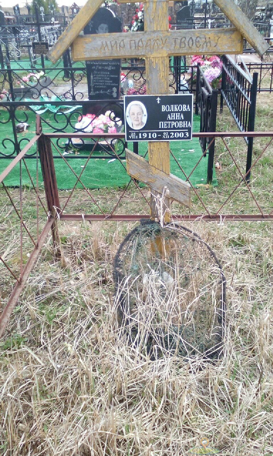 волкова анна петровна