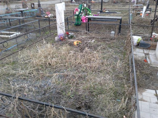 Носарь Николай Владимирович