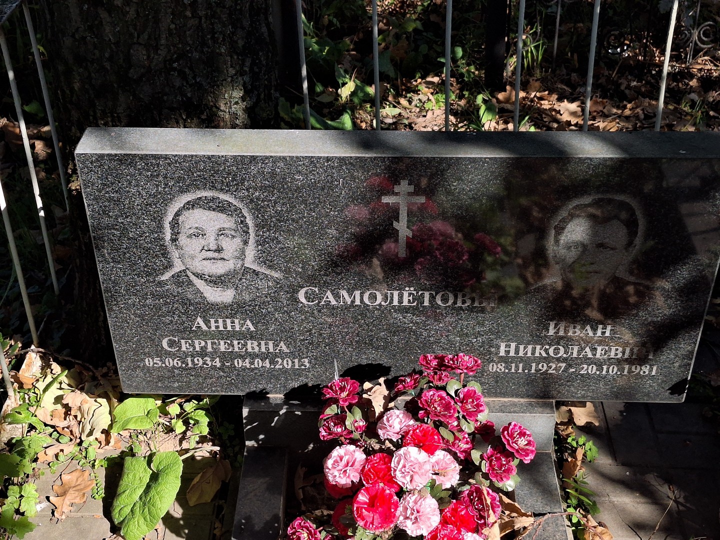 Самолетова