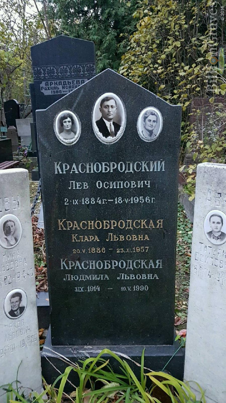 Аврашков Семен