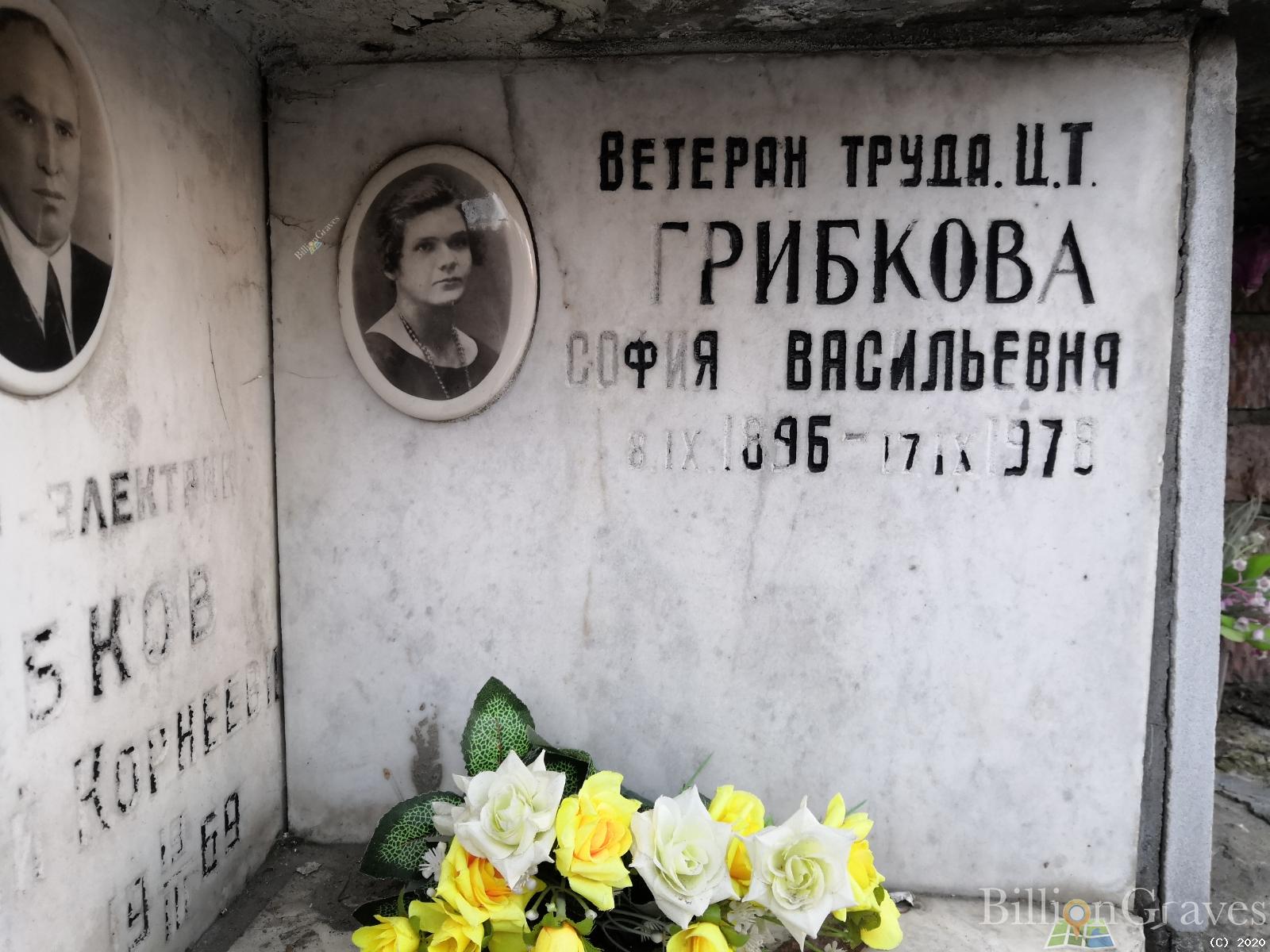 Грибкова София Васильевна