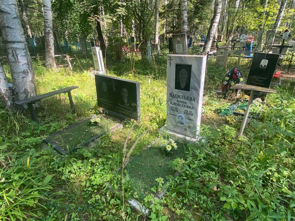 Васильева Анна Алексеевна