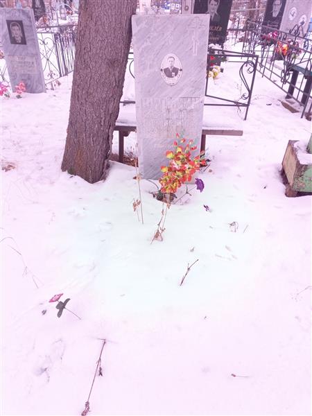 Шипицин Василий Матвеевич