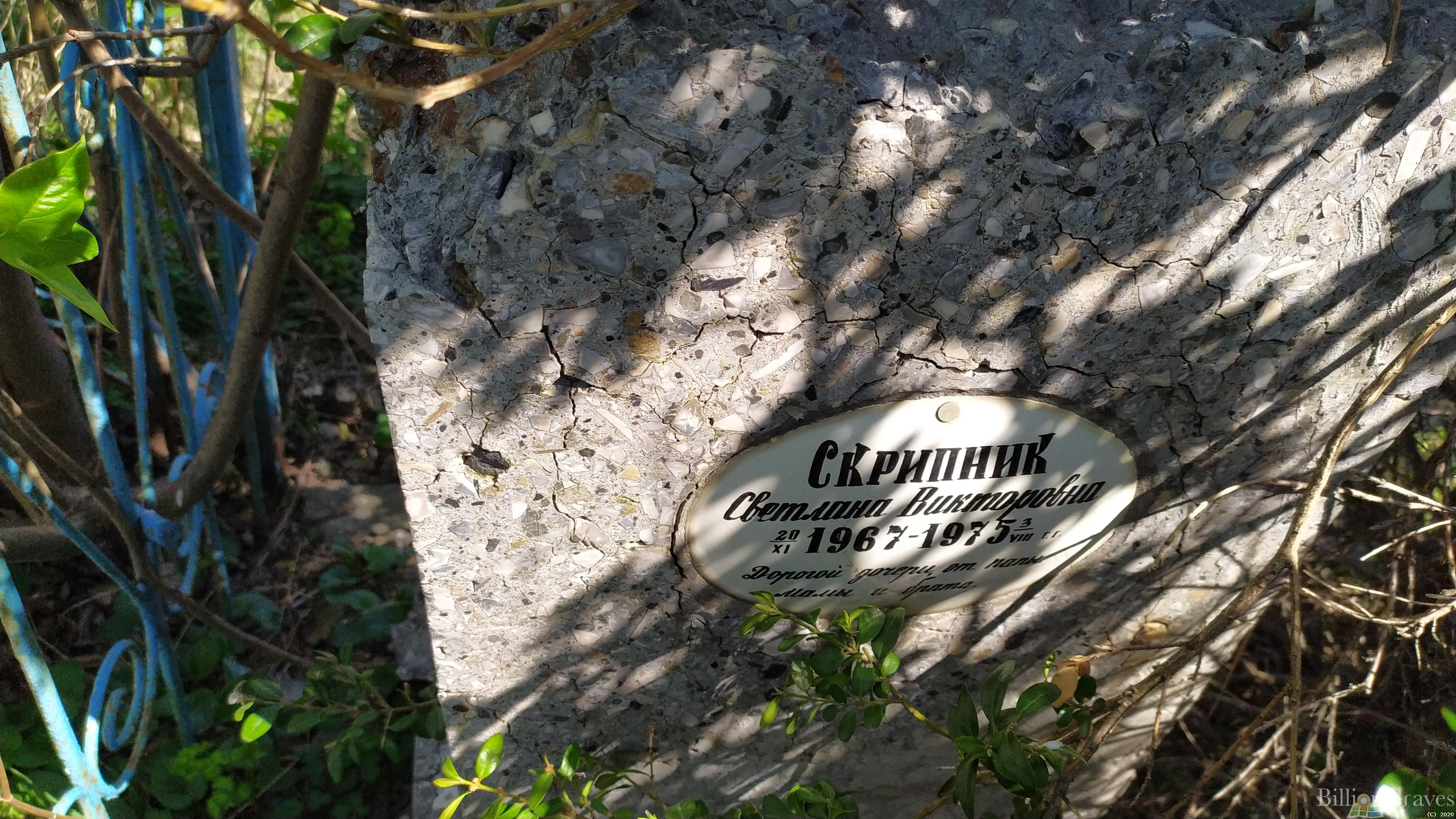 Скрипник Светлана Викторовна