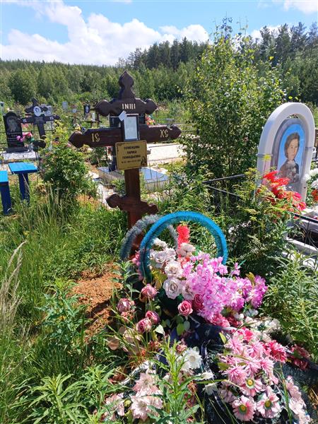 Семенцова Лариса Геннадьевна