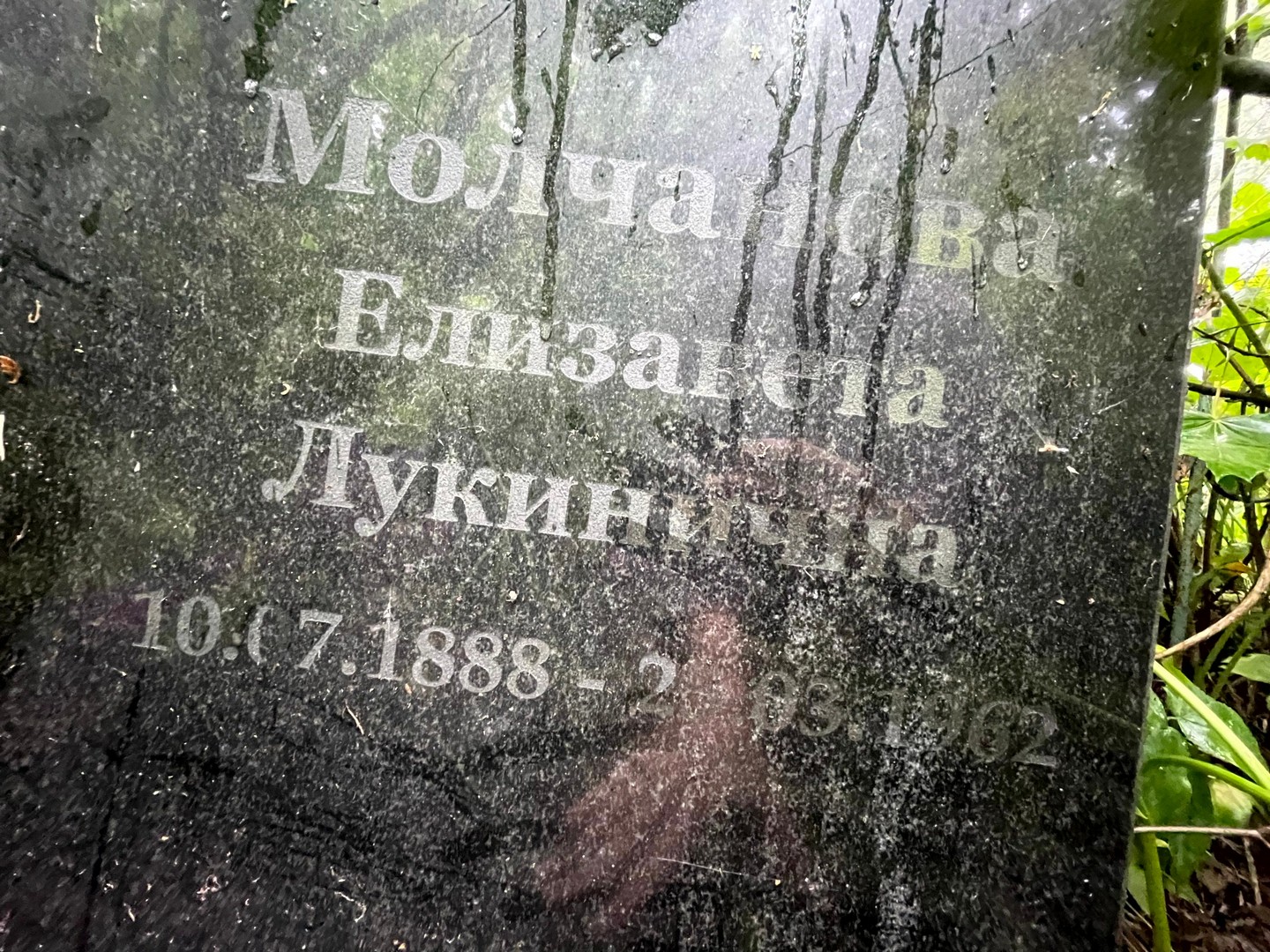 Елизавета Молчановa Лукинична