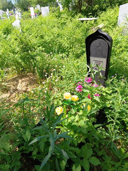 Гарифуллина Гагзима Валейшевна