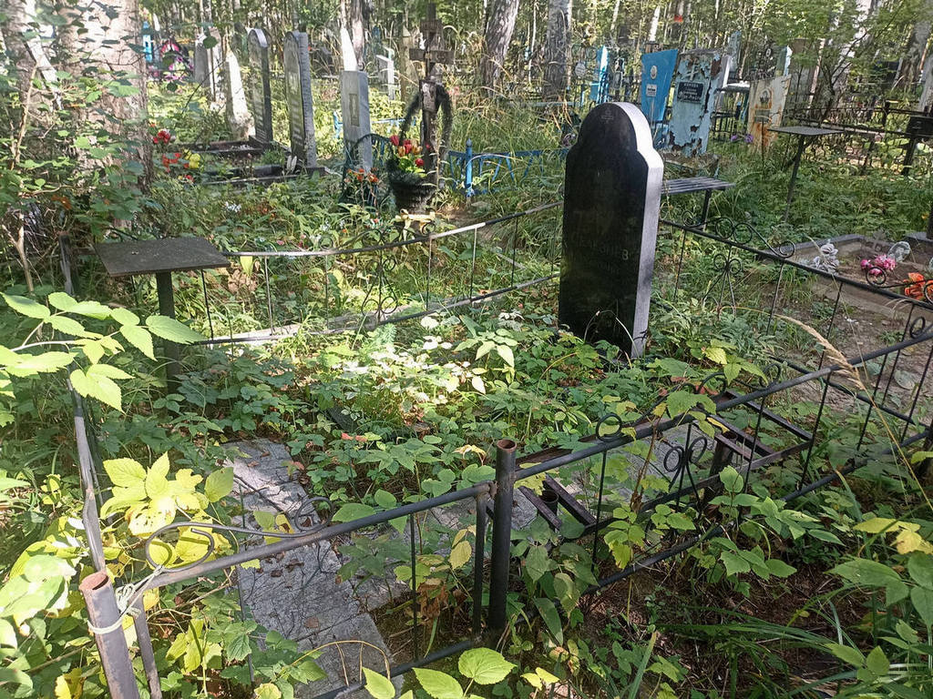 Селезнев Анатолий Иванович