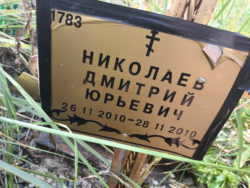 Николаев